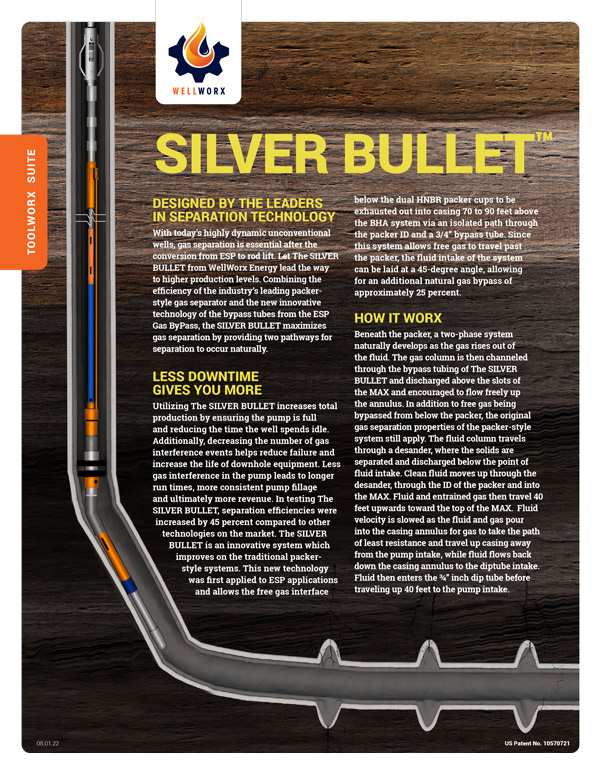 SILVER BULLET' Workshop Schedules